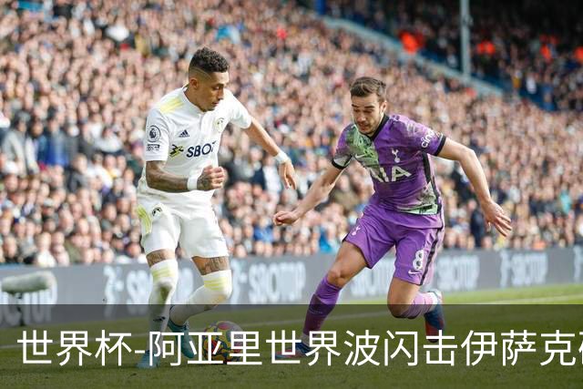 世界杯-阿亚里世界波闪击伊萨克破门 半场瑞典2-1突尼斯